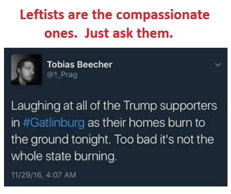2016_11-29-leftist-laughing-at-gatlinburg-victims