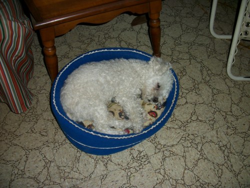 2016_12-28-rip-dewey