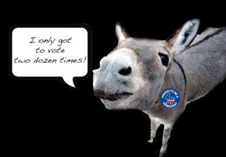donkey-voter