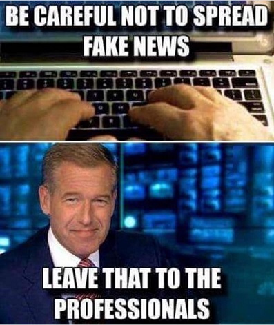 fake-news-professionals