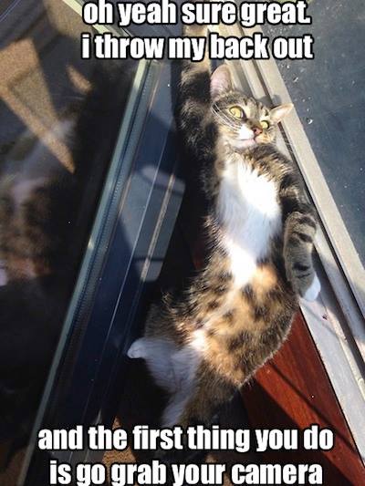 10553423_587387148032254_7967595457067883550_n