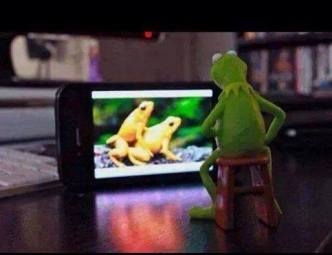 10640990_618113754977682_4929604745648900817_n