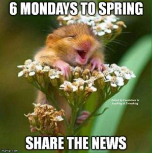 12705523_1741048456106706_5880125462812657329_n