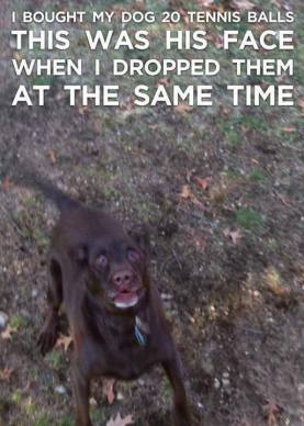 14358749_1125744217495489_5813659446881805161_n