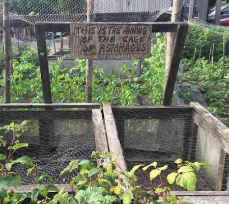 14390738_999903590113939_1277879036937009288_n