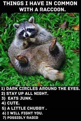 14523208_1775810366004975_5841311382901710142_n