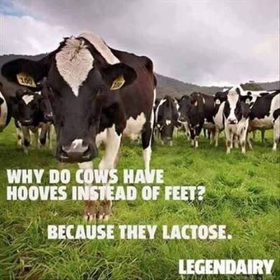 14572445_1468867639795967_6457447609784301187_n