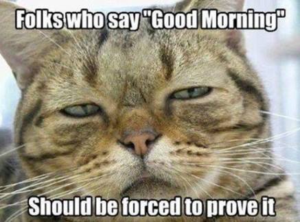 15230642_1863412727229669_6585577516623585490_n