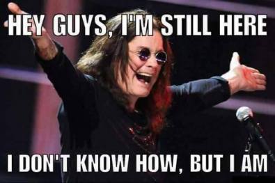 15697297_1336085766414495_7127197831785806143_n