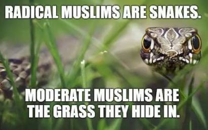 15780792_1400286699991015_1604249708704303823_n