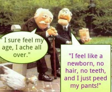 15823222_1371162582942870_3101648034167349466_n