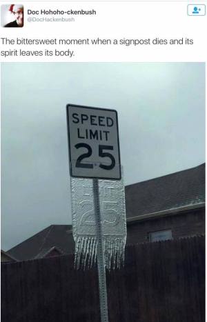 15825831_1287944564598034_1455602438975741799_n