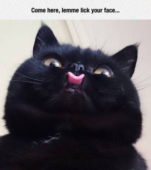 15871545_1178744468841314_7289129722743687163_n