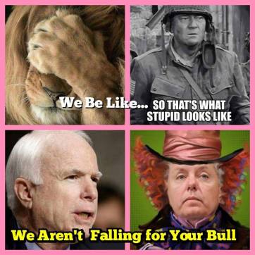 16114125_10207773030074724_6532281778886182893_n