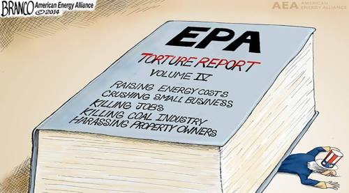 16402985_1207166262715876_6774396951409138634_o