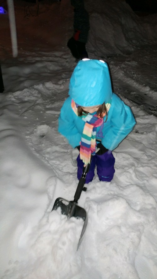 2016_12-28-bunny-shoveling-snow