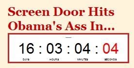 2017_01-04-screen-door