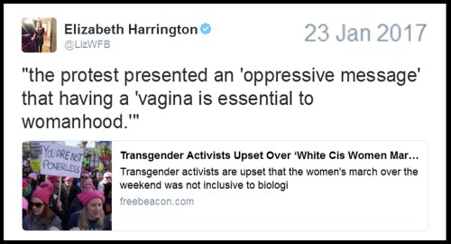 2017_01-23-genital-based-feminism