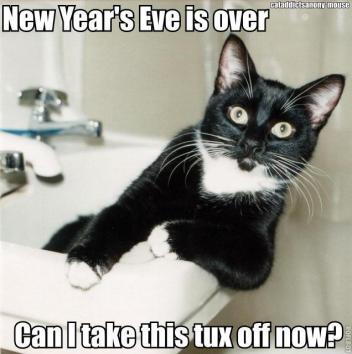 42137-new-years-eve-lol-gefq