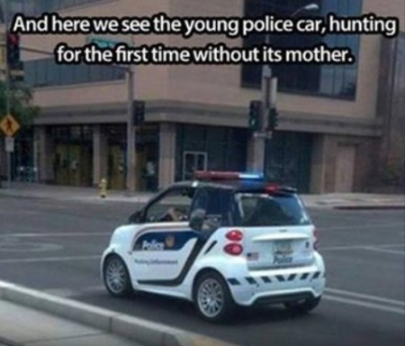 young-police-car