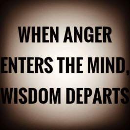 13164336_1058162454276764_1332777018384294684_n