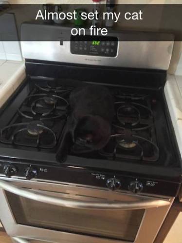 14045646_968734353230863_7384482872221477254_n