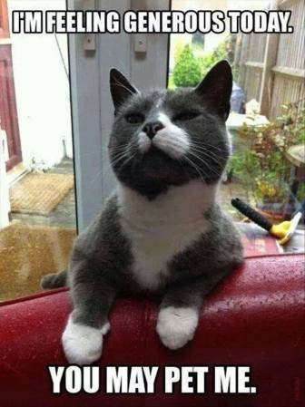 14390673_1128027410600503_8922869249268034532_n