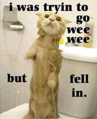 15178123_1861616590742616_6355407817682184332_n