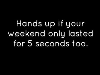 15380389_1302386413117764_5404692727996394780_n