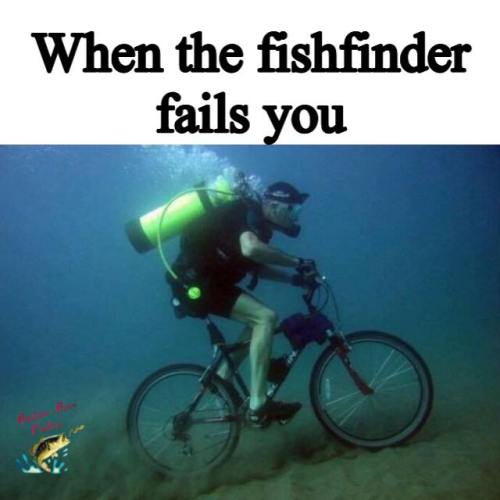 15589784_906887989447510_5228175757911675010_n