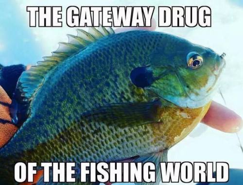 15672841_10154950413451579_7126996694044958105_n