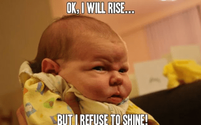 15844167_725095334323116_2804356349461732530_o