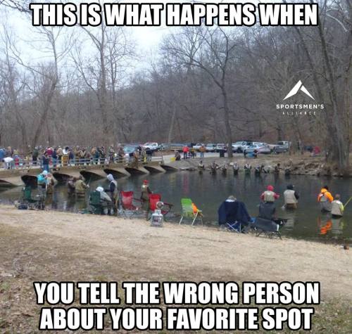 15965260_10154990892571579_7548335489417777072_n