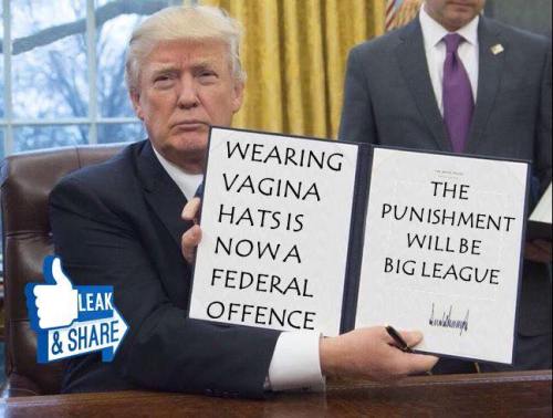 16265933_10212380156406940_1489412963245792686_n