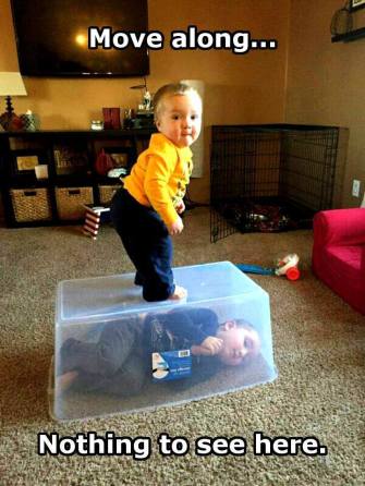 16299364_987714134663648_2187647197389446710_n