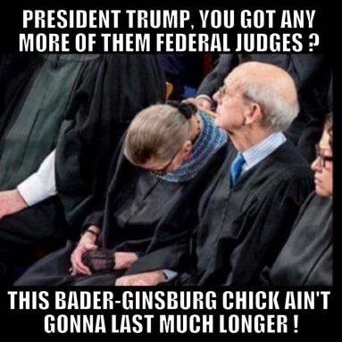 16406720_733628693469369_998853146476847843_n