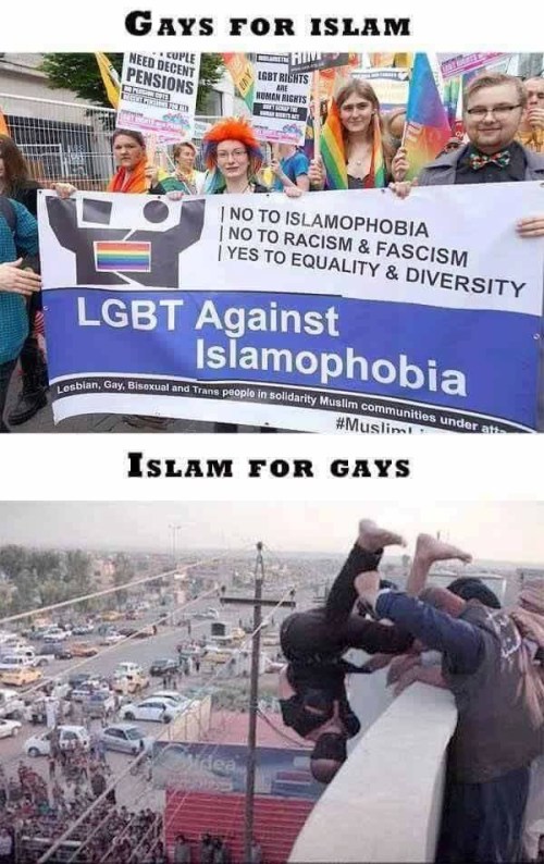 islam-and-gays
