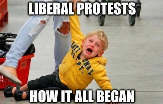 liberal-protests