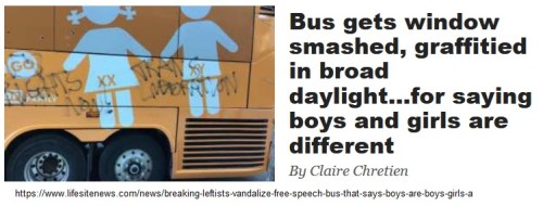 2017_03 23 Bus window smashed