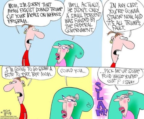 2017_03 Meals on Wheels toon