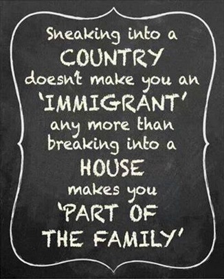 Illegal aliens are not immigrants