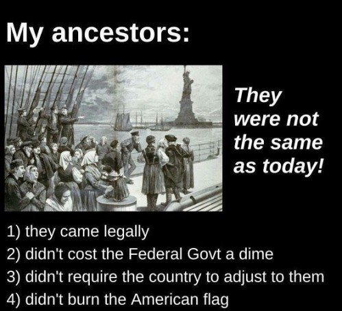 My ancestors