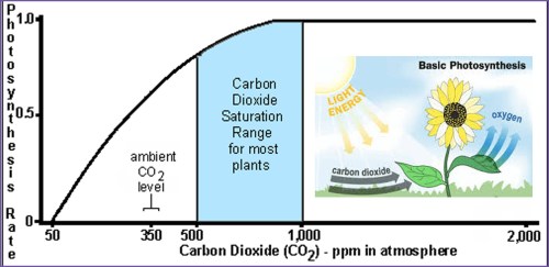 CO2 and photosynthesis