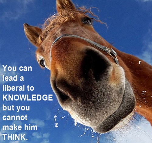 You can lead a liberal to knowledge
