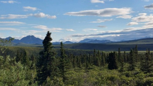 2017_06 30 Midnight at midsummer in AK