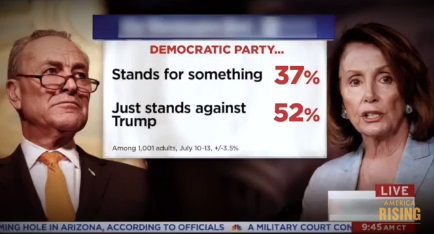 2017_07 Dem Party poll