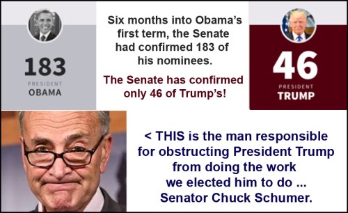2017_07 Schumer obstruction