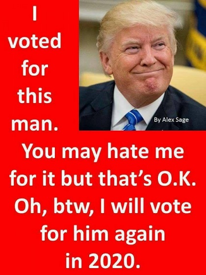 I voted for Trump