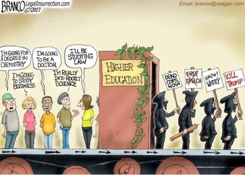 2017 Universities turning out terrorists