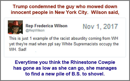 2017_11 01 Rhinestone Cowpie